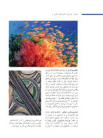 عکاسی مقدماتی - Image 17