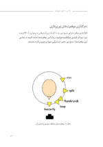 الفبای نورپردازی در  عکاسی (تمام رنگی) - Image 15