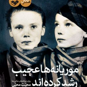 موریانه ها عجیب رشد کرده اند