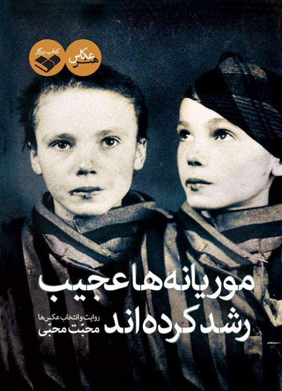 موریانه ها عجیب رشد کرده اند موریانه ها عجیب رشد کرده اند - Image 1