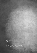 عکاسی شاعرانه - Image 11